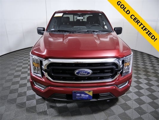 2021 Ford F-150 XLT in Apple Valley, MN - Apple Autos