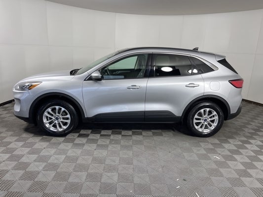 2020 Ford Escape SE in Apple Valley, MN - Apple Autos