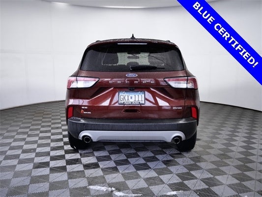 2021 Ford Escape SE in Apple Valley, MN - Apple Autos