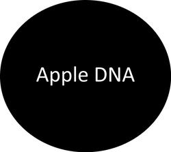 Apple DNA | Apple Autos in Apple Valley MN